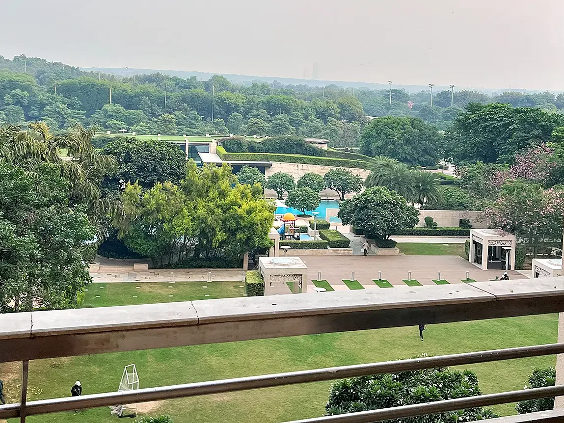 DLF Aralias