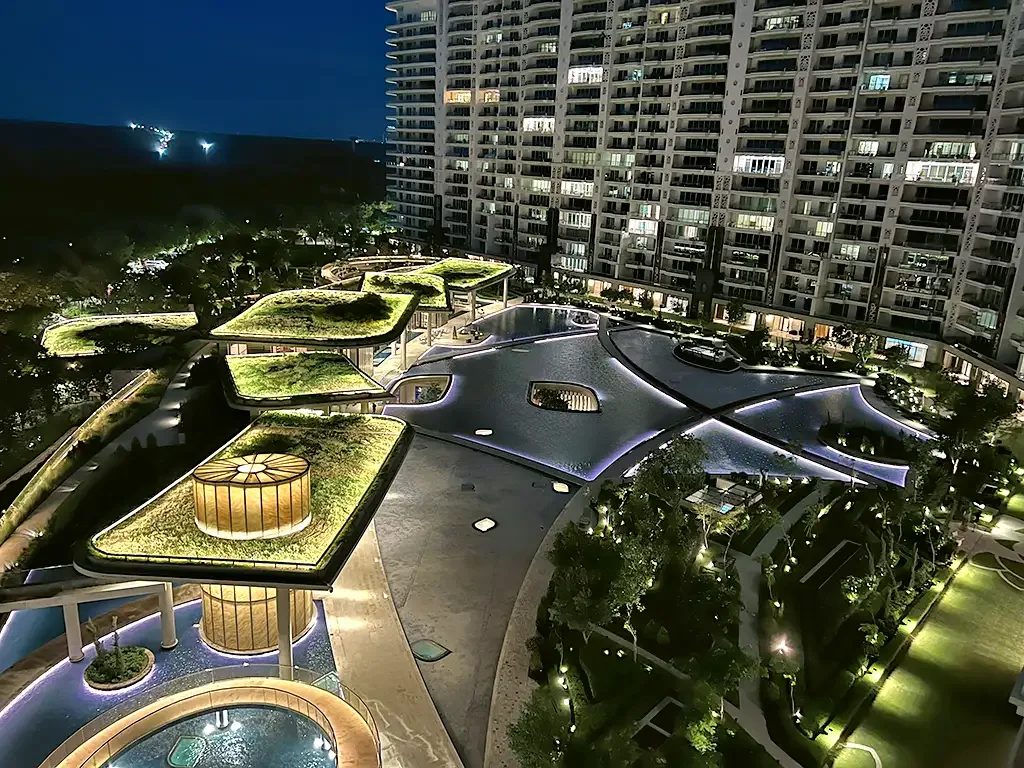 DLF Camellias