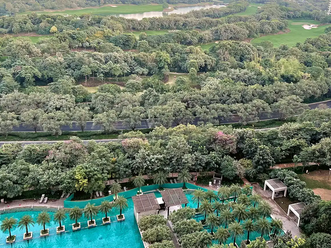 DLF Magnolias