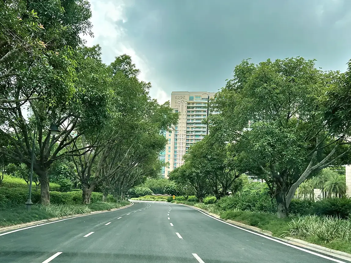 DLF Magnolias