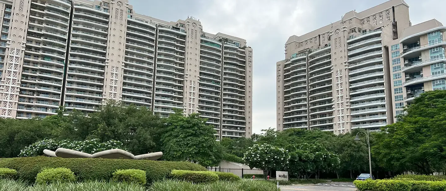 DLF Magnolias
