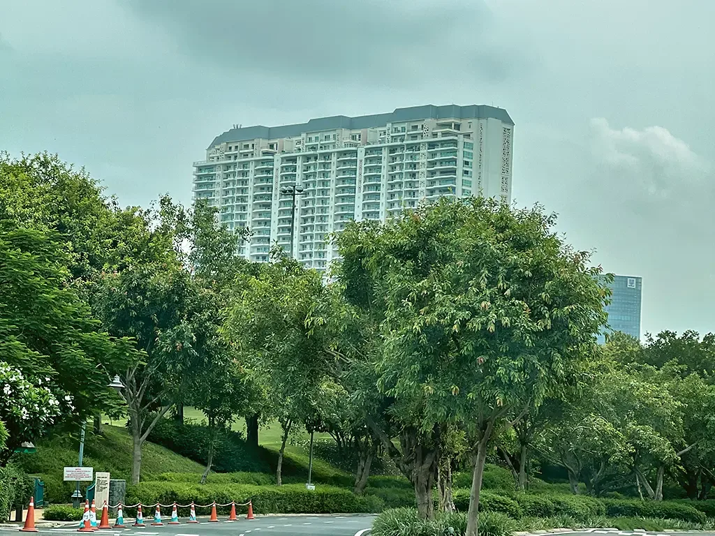 DLF Camellias