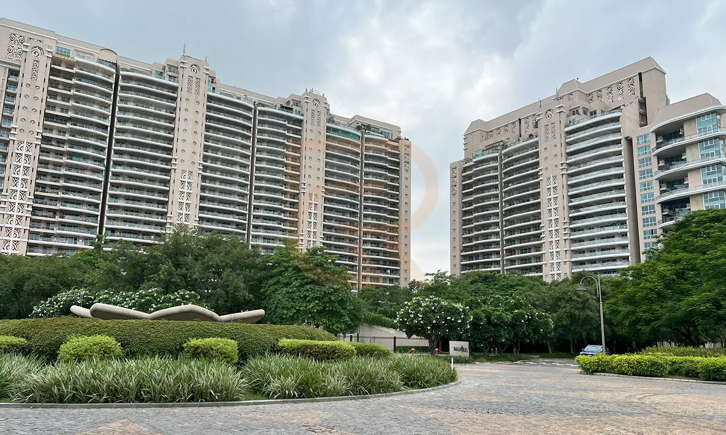 dlf magnolias details