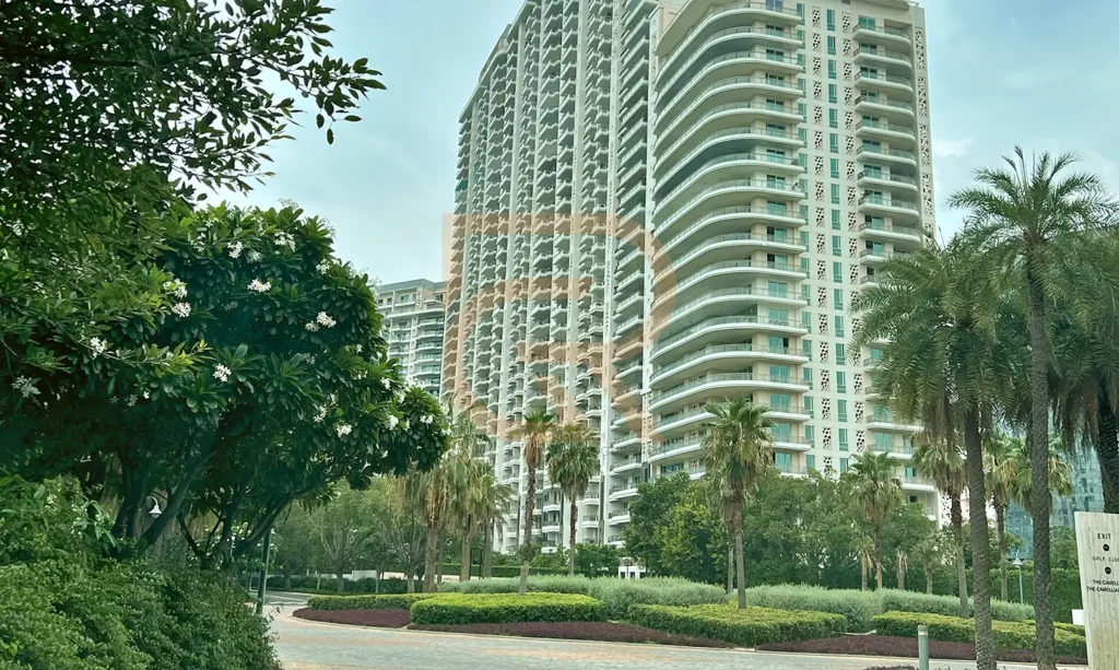 camellias dlf details