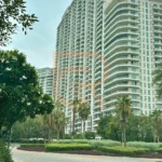 camellias dlf details